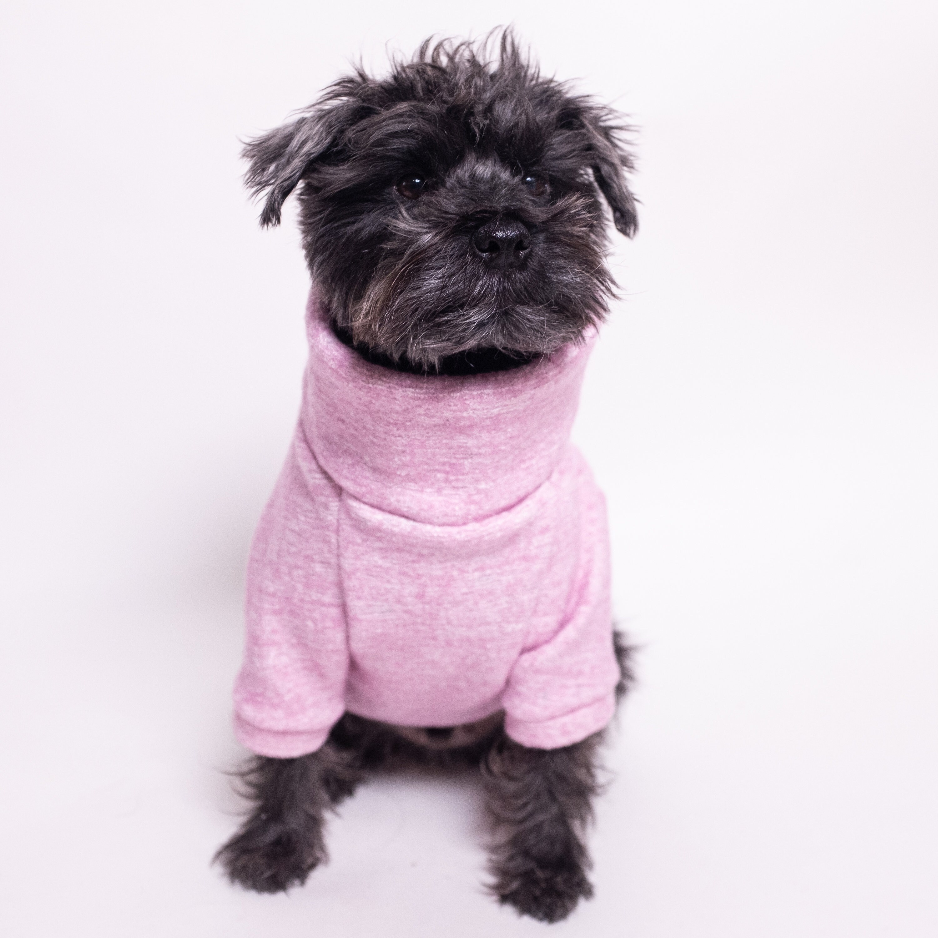 Ribbed Sweater Lightweight Sweater Dog Fashion Dog Apparel Olive Fine-knit Sweater Dog Clothing Turtleneck Top 