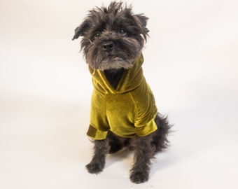 Light Moss Velvet Pet Hoodie | Dog Sweater | Dog Outerwear | Fashionable Dog Shirt | Cat Hoodie | Gift For Dog