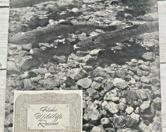 1950 Vintage Boise IDAHO WILDLIFE Review June July 1950 Fish & Game Commission