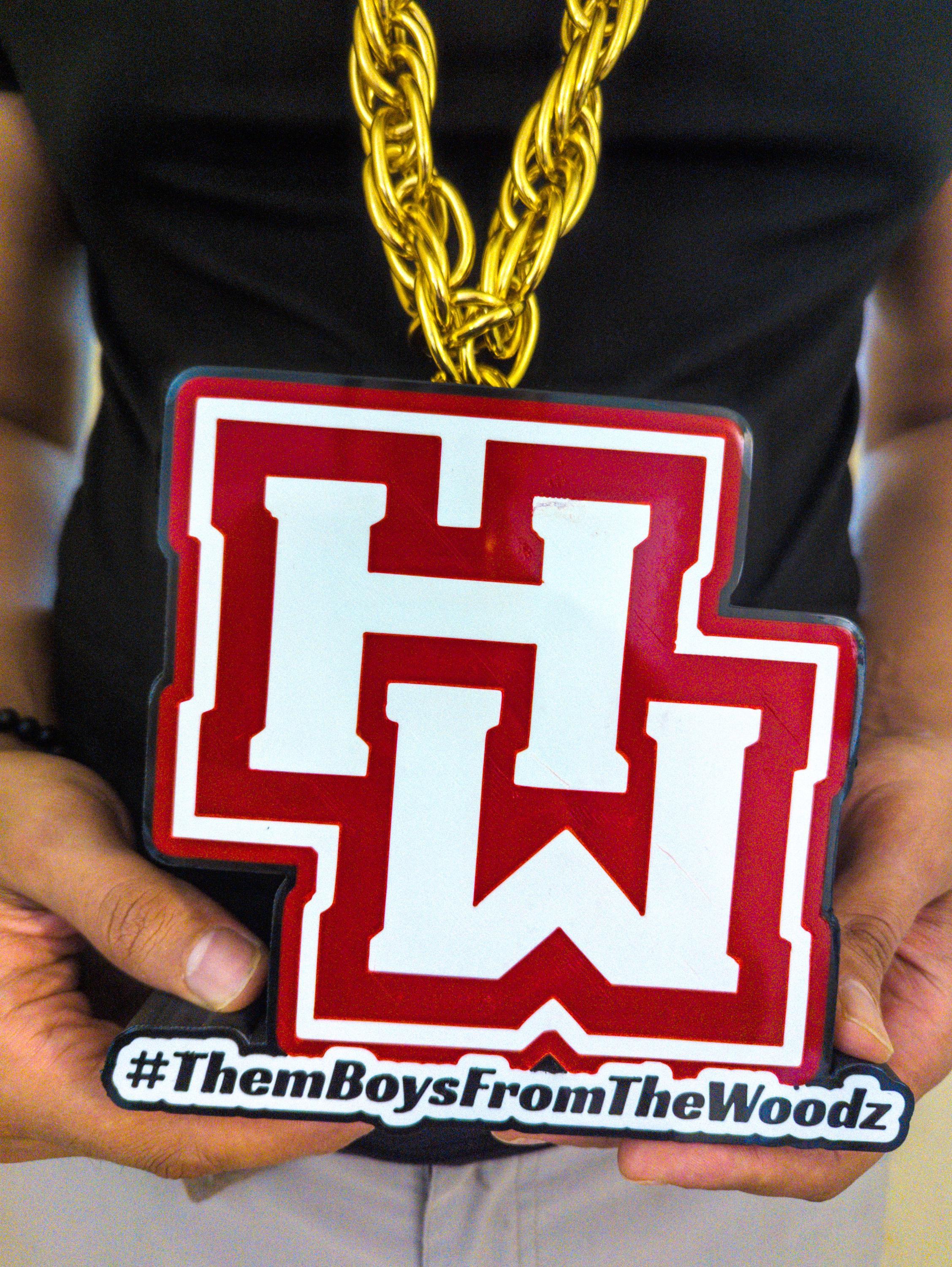 Custom 3D Printed Logo Pendant | Giant Gold Chain Necklace (LED Option ...