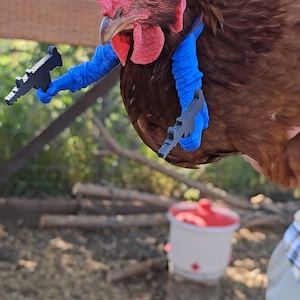 Unique 3D-Printed Chicken Arms with Uzis
