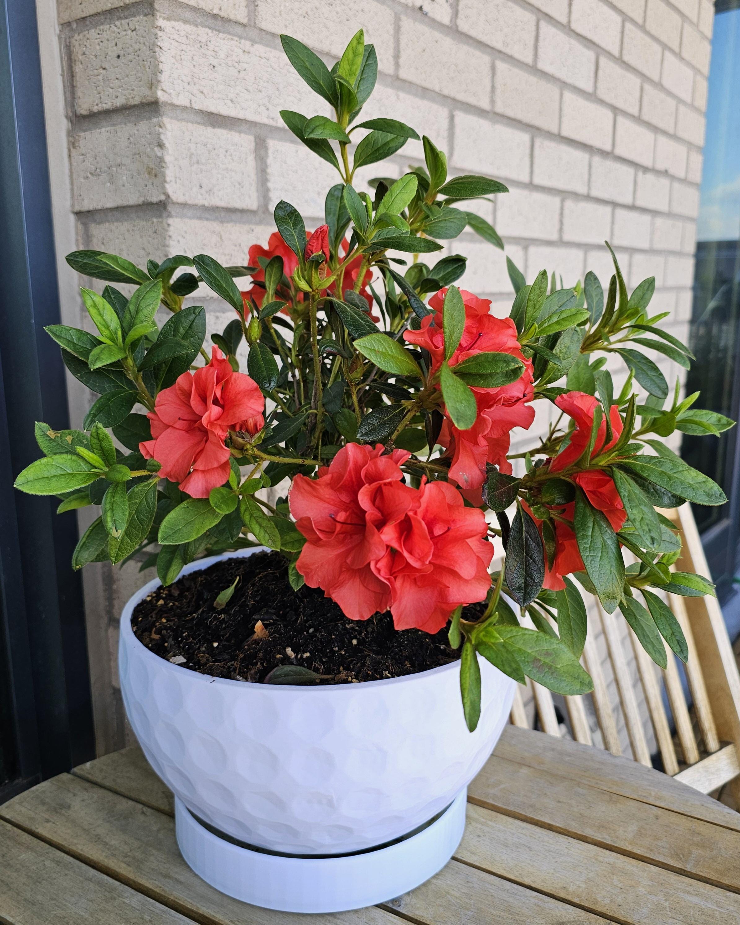 cloth planting pots Tera Mud Cloth Planter