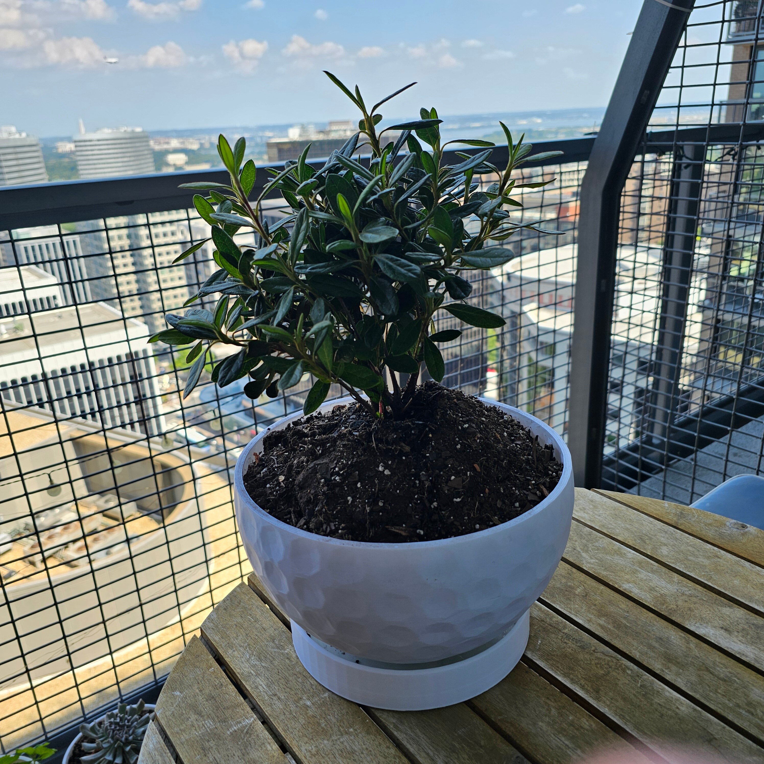 Large 10 Inch Wide Golf Ball Themed Planter With Attached Drainage - Etsy