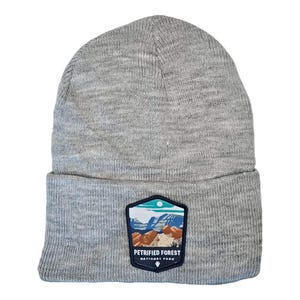 May include: Gray knitted beanie with a patch featuring a landscape scene and the text "Petrified Forest National Park".