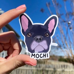 Personalized Pet Sticker | Custom Dog Sticker | New Pet Owner Gift | Custom Cat Sticker | Personalized Pet Art | Personalized Dog Gift