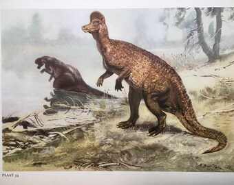 Corythosaurus Etsy