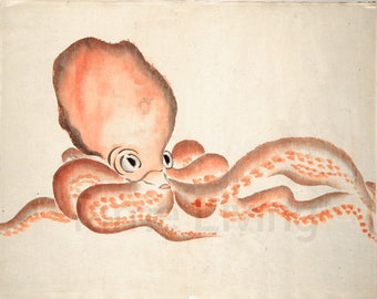 Asian Octopus Sex