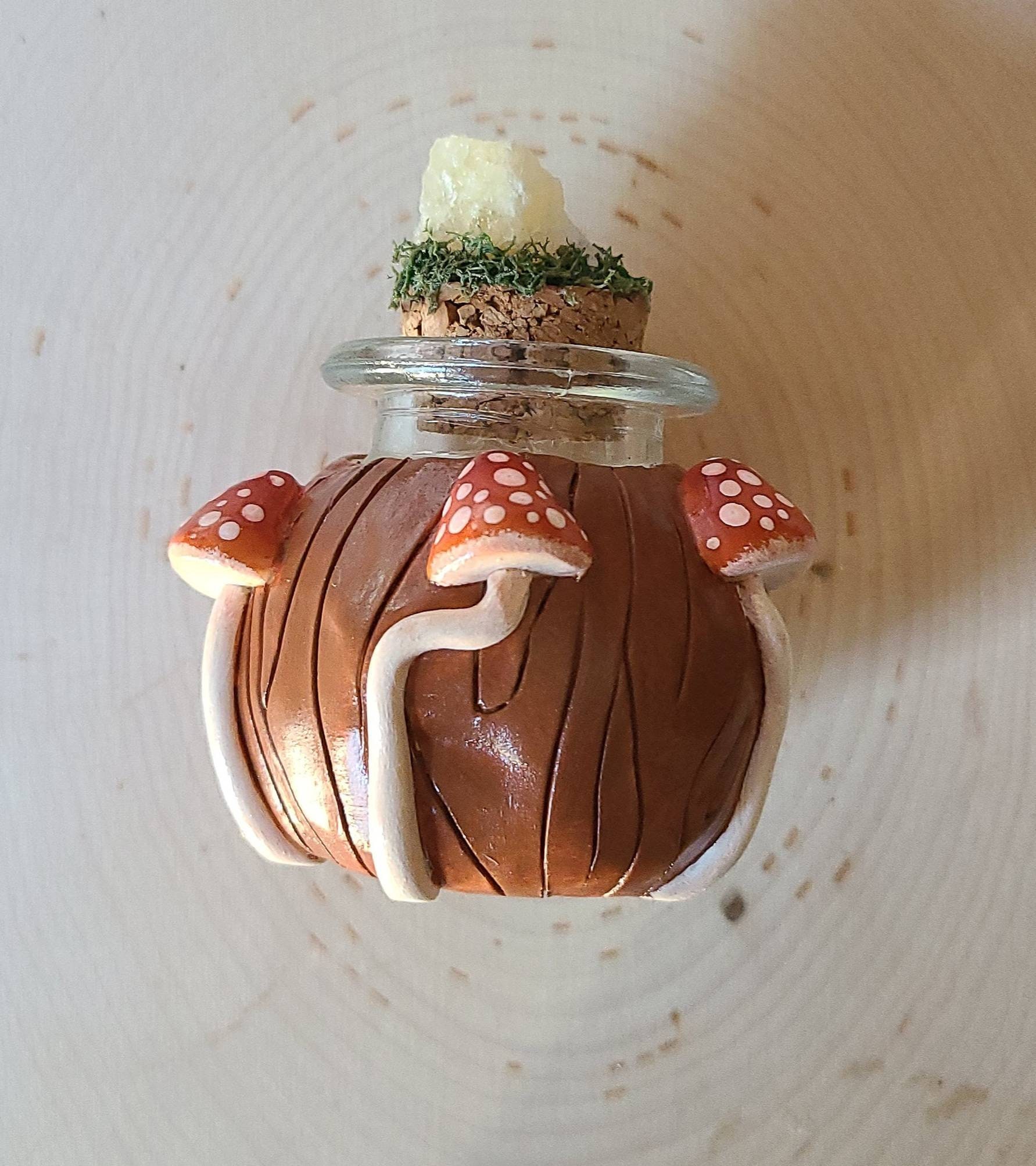Mushroom Jar Stash Jar Polymer Clay Glass Bottle Crystals Etsy