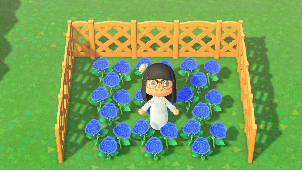 BLUE ROSES - Animal Crossing New Horizons ACNH Hybrid Flower Bundle P…