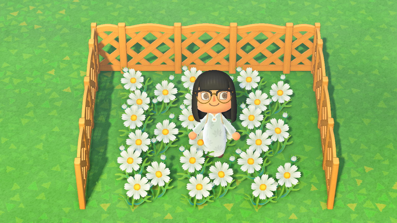 10 White Cosmos ACNH Full Grown Flowers Etsy