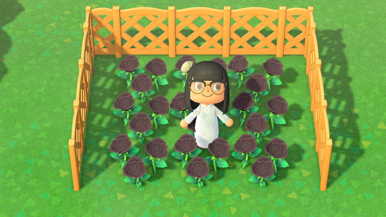 BLACK ROSES Animal Crossing New Horizons ACNH Hybrid Flower Etsy
