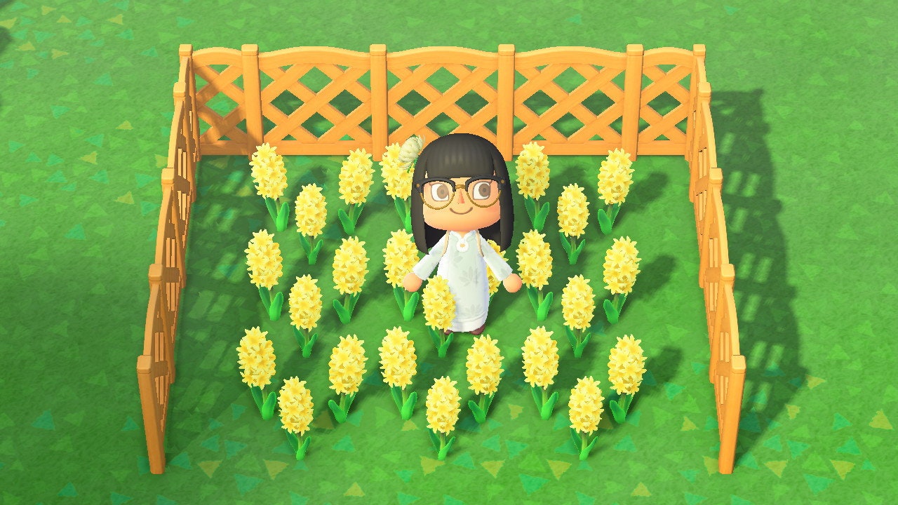 10 Yellow Hyacinth Animal Crossing New Horizons ACNH Full Etsy