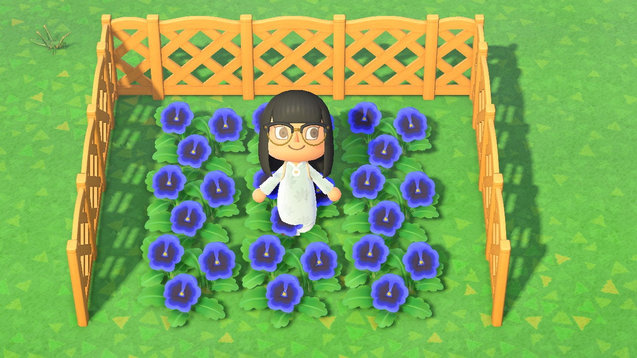 BLUE PANSIES Animal Crossing New Horizons ACNH Hybrid Flower Etsy