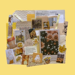 Kit de carnets jaunes sur le thème (40 pièces) - scrapbooking - collage - fabrication de cartes - mystère - nature florale - botanique - papier fait main