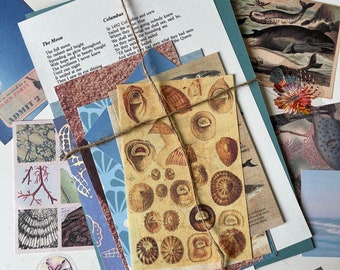 25pc Mini Under the Sea Themed Junk Journal Kit - Scrapbooking - Collage - Card Making - ocean - Mystery - Vintage - fish- Travel