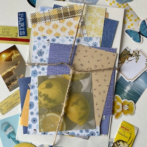Kit de 25 mini carnets de voyage bleu x jaune vintage - fleurs - éphémères - album - chutes - autocollants - mystère - botanique - sac à main - ciel