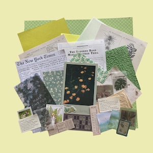 Kit de carnets à thème vert (40 pièces) - scrapbooking - collage - fabrication de cartes - mystère - vintage - floral nature - botanique - papier