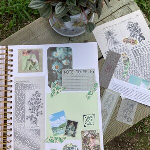 Green ThemedJunk Journal Kit (40 pieces) - Scrapbooking - Collage - Card Making - Mystery - Vintage - Floral Nature - Botanical - Paper zdjęcie 3