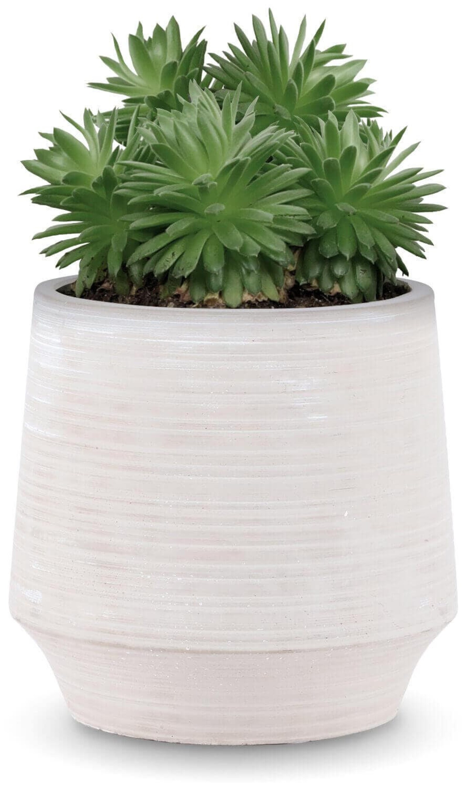 INSPIRELLA Modern Flower Pot Indoor Planter 6 inch Glazed Etsy