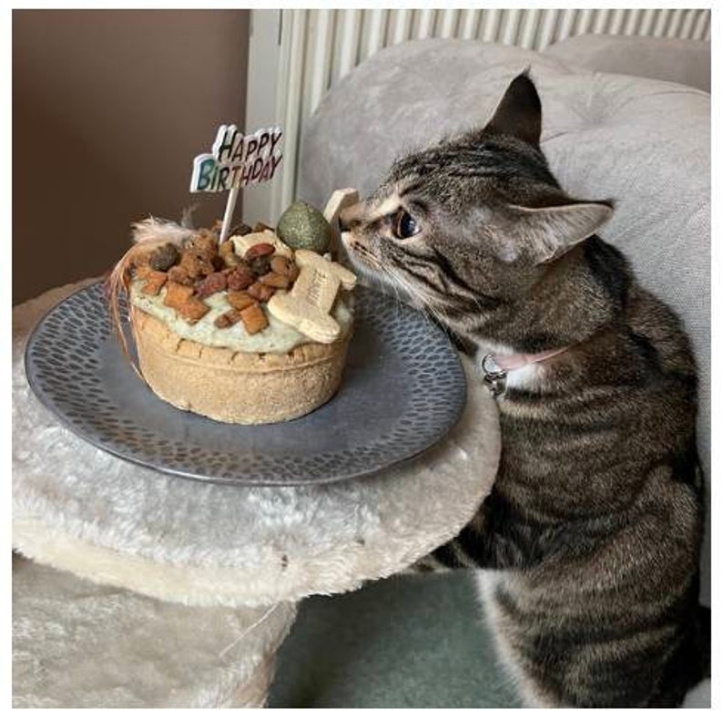 Cat Birthday Cake Birthday Cake for Cats Etsy