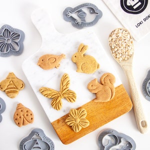 Springtime Dog Cookie Cutters I Critters, Bugs, Butterfly & Flower Dog Biscuit Cutters I Squirrel Dog Treat Stamp I Puppy Gift I Pet Gift
