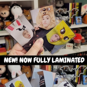May include: Four photo cards featuring a person wearing different animal costumes. The cards are laminated and have a clear plastic cover. The costumes include a bunny, a chicken, a bear, and a panda. The text "NEW! NOW FULLY LAMINATED" is printed on the bottom of the image.