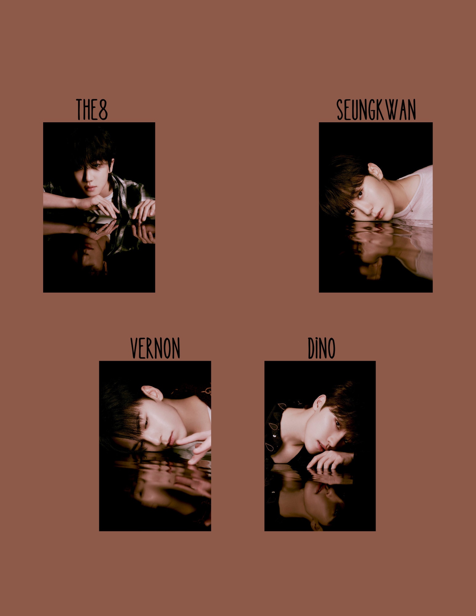 Seventeen Fan Made CARAT Membership ID Cards Laminated & Durable