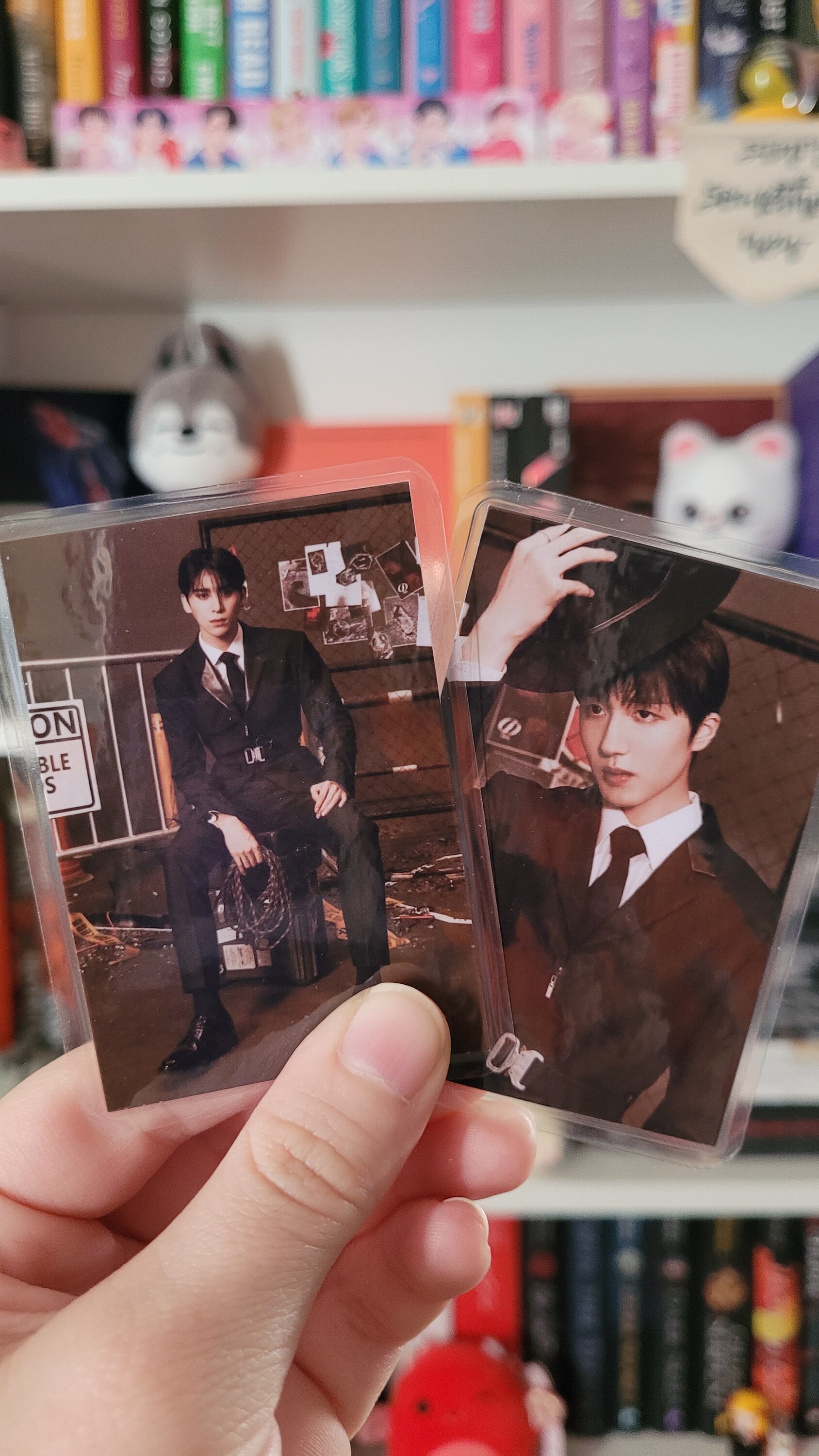 SF9 Fan Made FANTASY Membership ID Cards Laminated & Durable