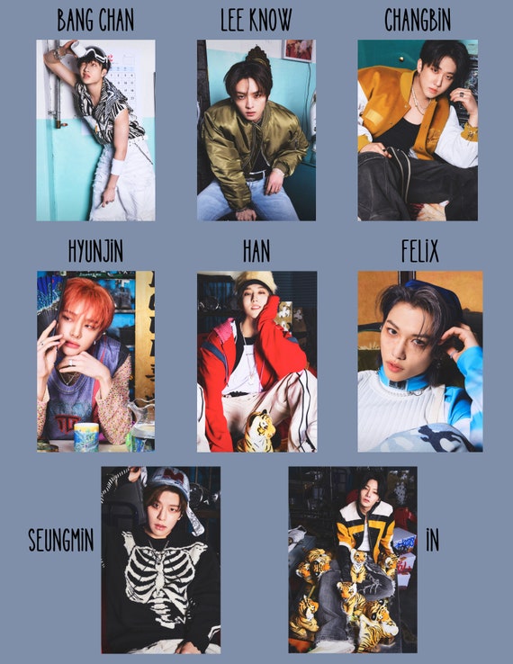 Lot De 5 étuis Pour Carte D'identité Avec Lanière, Porte-badge