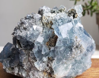 Blauer kubischer Fluorit, seltene Mineraldarstellung