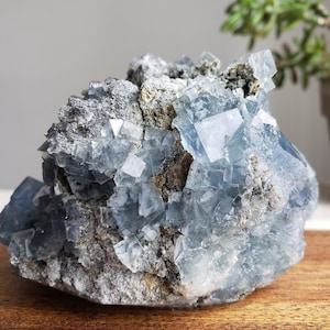 Cubic fluorite specimen, cubic fluorite, fluorite specimen, fluorite, rare fluorite, cubic fluorite specimen, rare fluorite, blue fluorite