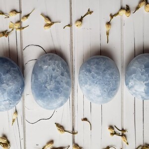 May include: Four smooth, light blue celestite palm stones arranged in a row on a white wooden surface. The stones have a cloudy, marbled appearance.