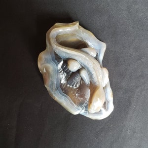 Agate lizard, lizards, lizard crystal, lizard crystals, agate crystals