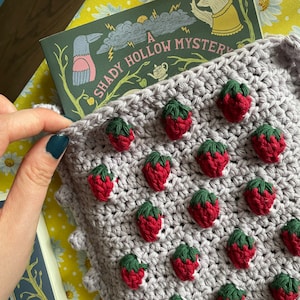 Strawberry Book Sleeve Crochet Pattern / Crochet Book Cover / Digital Download / PDF / OneStopWonders