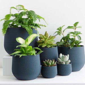 Blue Plant Pot Blue Planter Indoor Planter Indoor Plant Pot Minimal Plant Pot Minimal Planter Succulent Planter Cactus Pot image 3