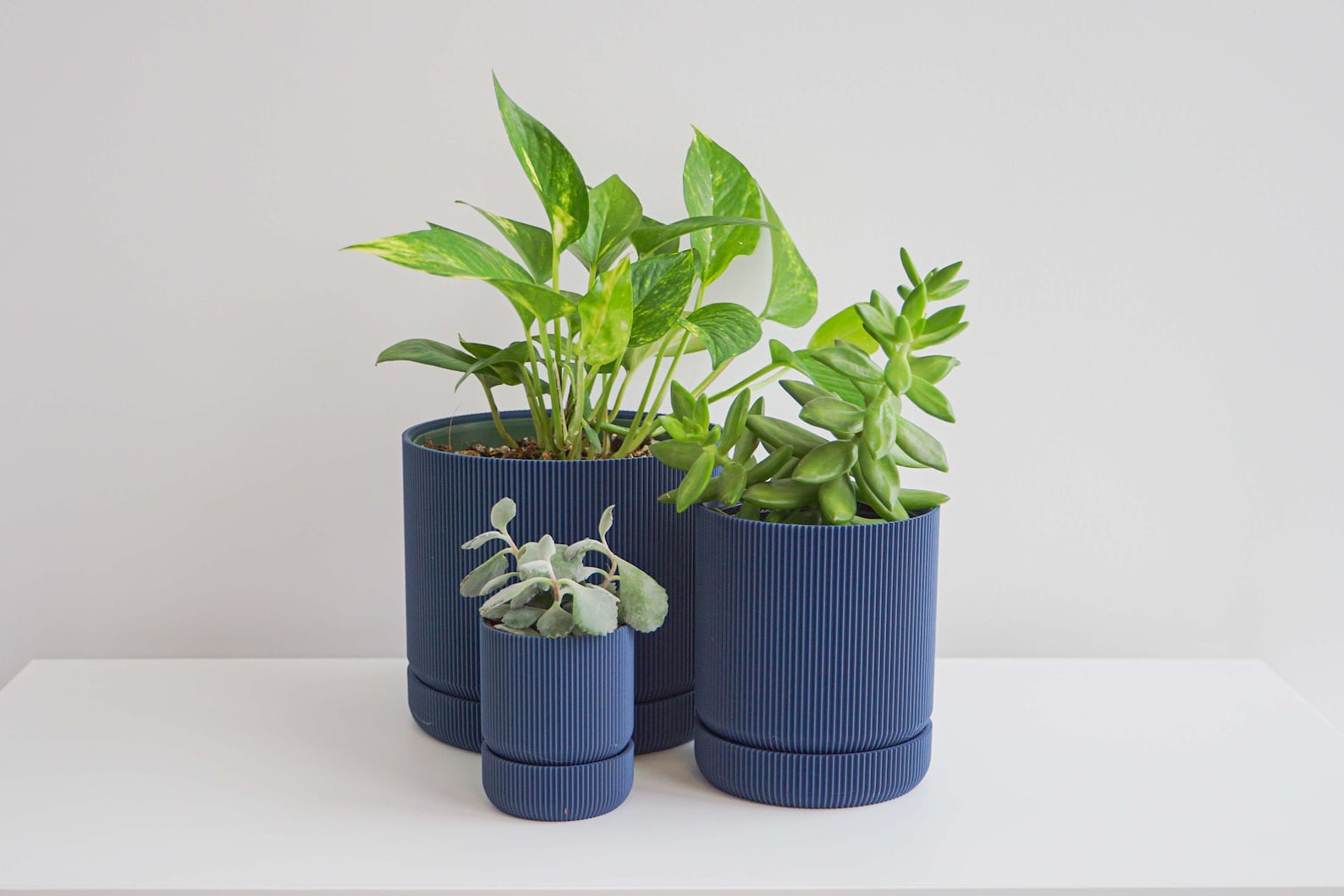 Blue Plant Pot Blue Planter Indoor Planter Indoor Plant Etsy