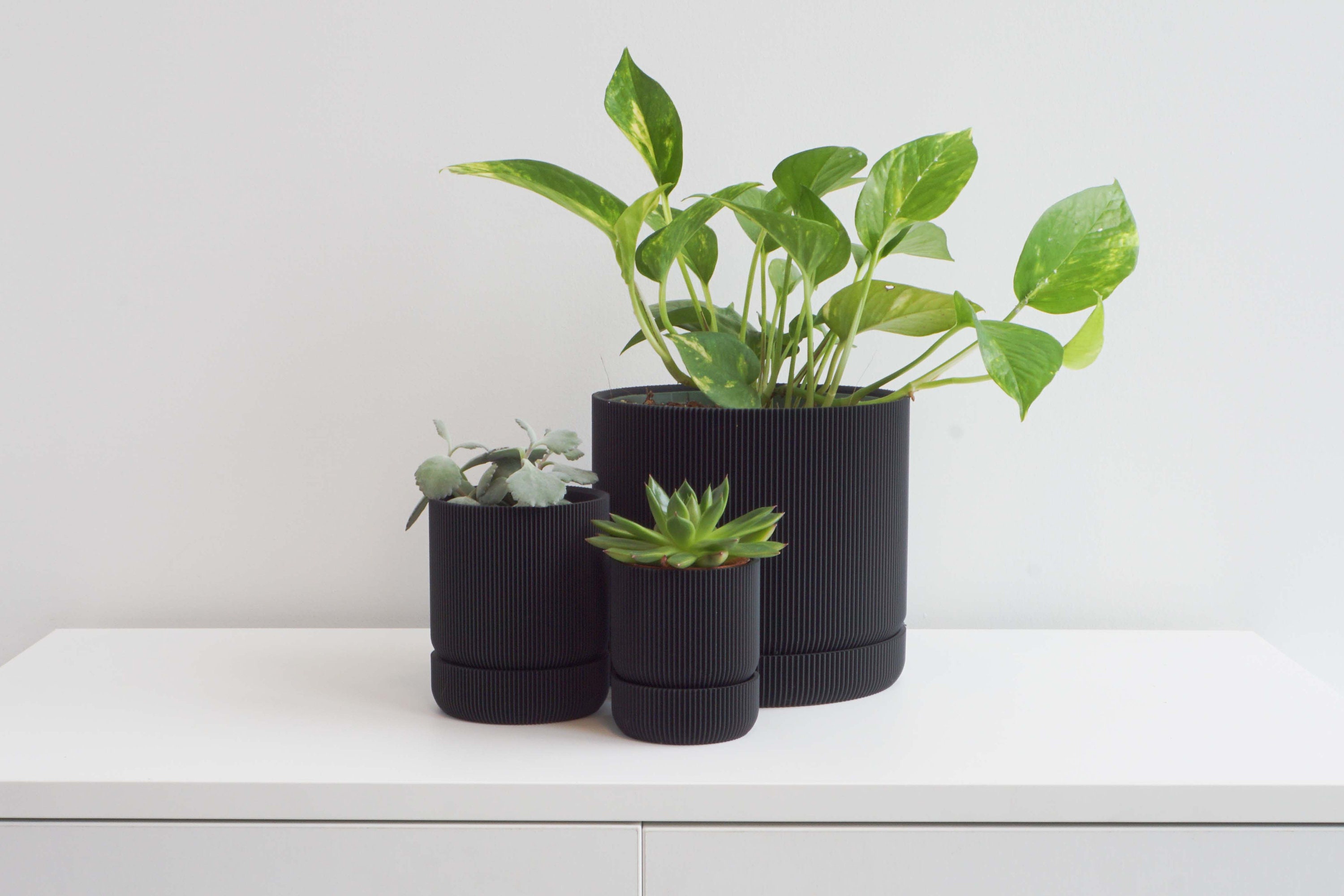 Black potted plants deals