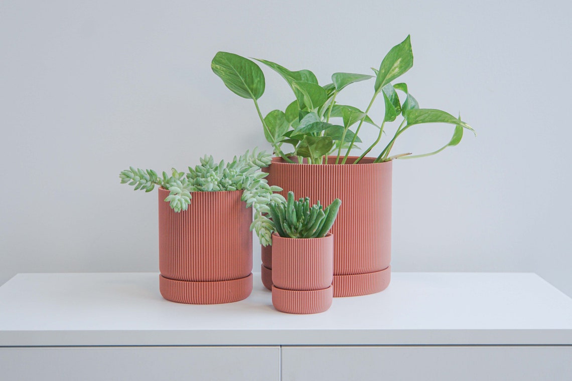 Pink Plant Pot Pink Planter Indoor Planter Indoor Plant Etsy Canada