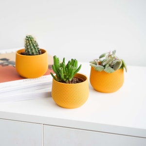 Yellow Mini Planter Set Mini Indoor Planter Set Mini Planter Indoor Planter Mini Plant Pot Minimal Planter Set White Plant Pot image 3