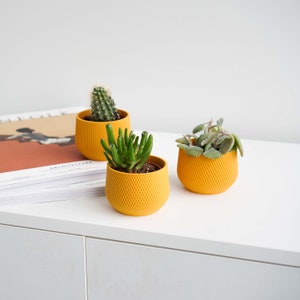 Yellow Mini Planter Set Mini Indoor Planter Set Mini Planter Indoor Planter Mini Plant Pot Minimal Planter Set White Plant Pot image 4