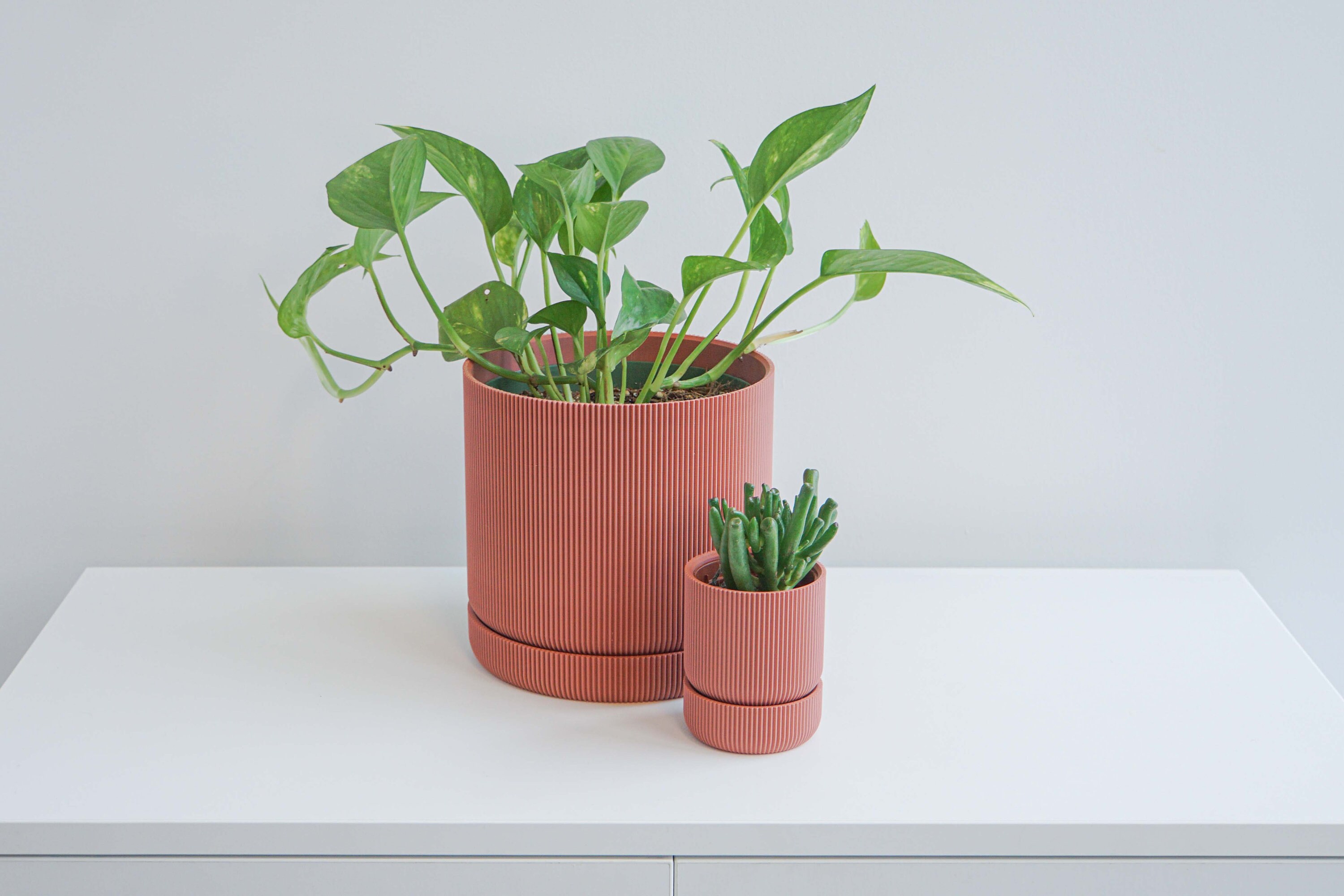 Pink Plant Pot Pink Planter Indoor Planter Indoor Plant Etsy Canada
