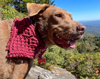 Macrame Dog Bandana | Boho Wedding Accessory