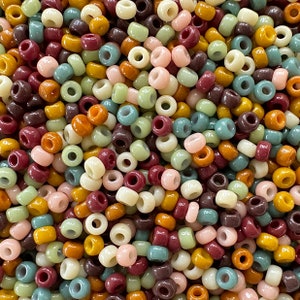 Boho Rainbow Miyuki Bead Mix: Size 11 Seed Beads for Jewelry, Japanese Seed Beads, Glass Beads, Rocailles, 2mm Beads, Bead Assortment, 20g