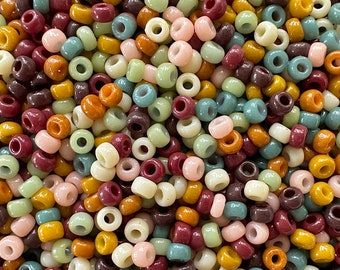 20g Miyuki 11/0 Seed Bead Mix | Boho Rainbow | Miyuki 11/0 Seed Beads for Jewelry Making, Embroidery, Bead Weaving, and more!