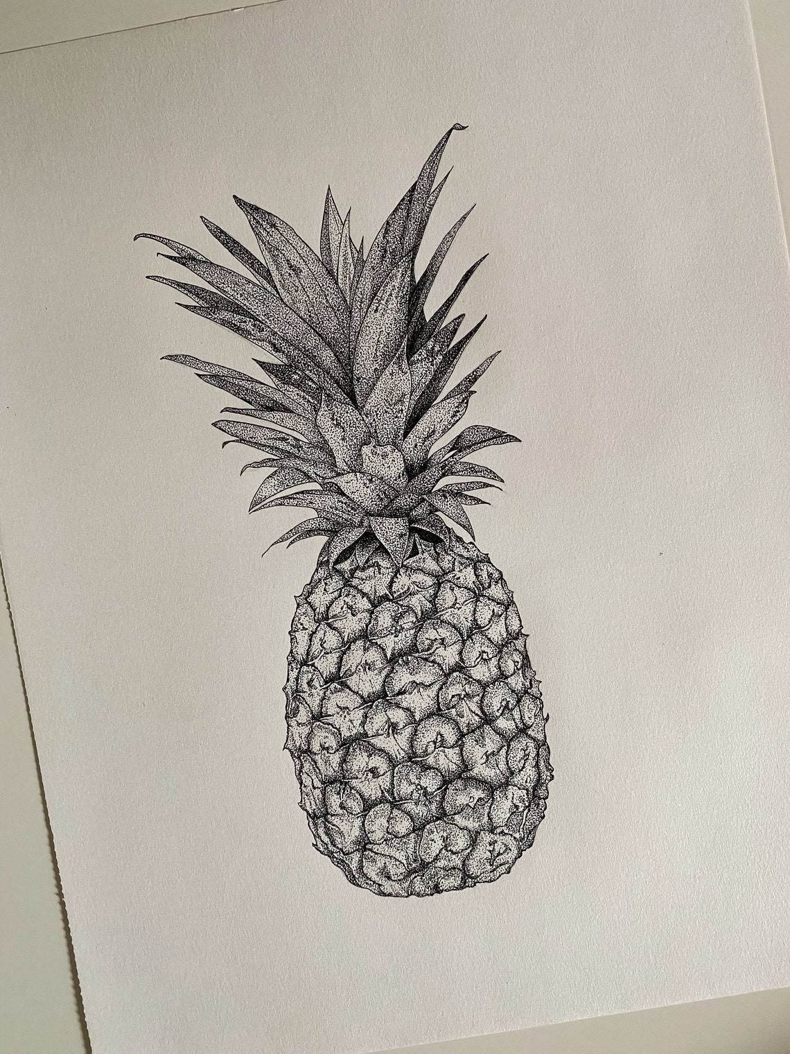Pineapple Original Pen and and Ink Drawing // 11x14 Drawing Etsy