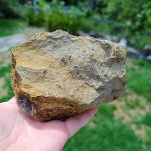 May include: A rough, irregularly shaped rock with a mix of tan, brown, and gray hues. The rock's surface has a textured appearance, with visible layers and variations in color. The rock is held in a hand against a blurred green background.