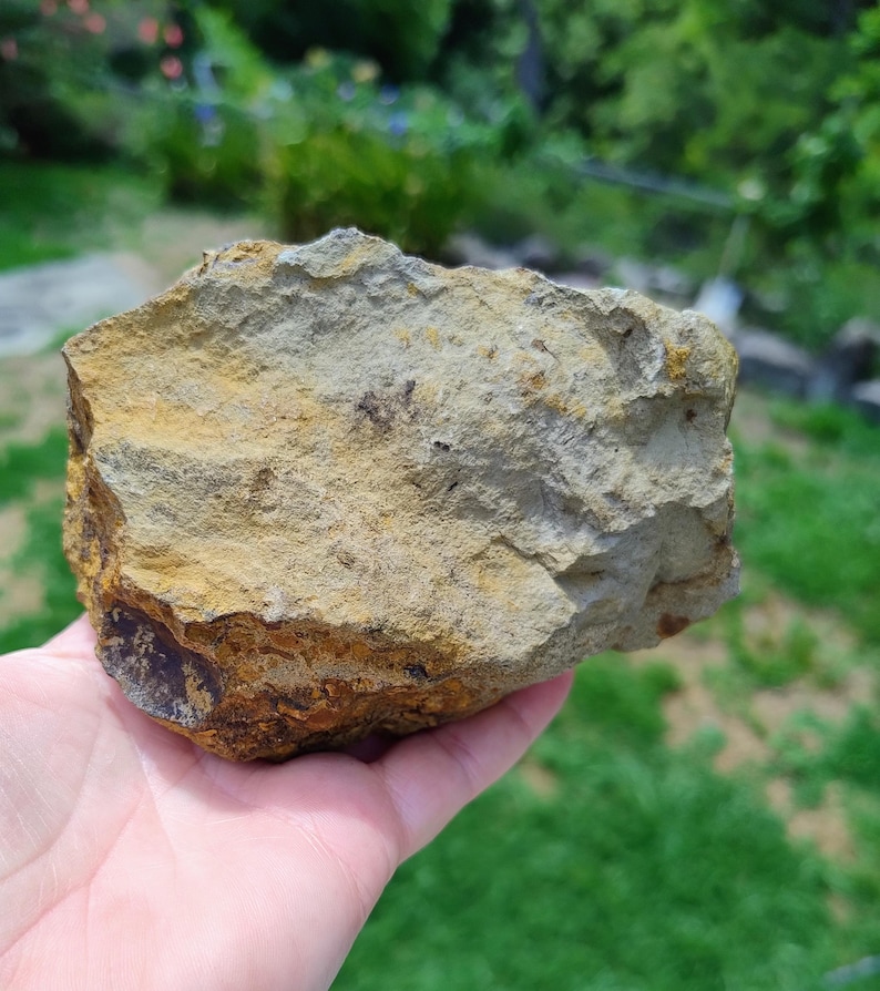 May include: A rough, irregularly shaped rock with a mix of tan, brown, and gray hues. The rock's surface has a textured appearance, with visible layers and variations in color. The rock is held in a hand against a blurred green background.