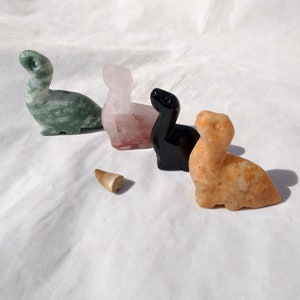 Dinosaur Crystal carving and Fossil tooth set Natural  Heart Crystal  Gemstone 1