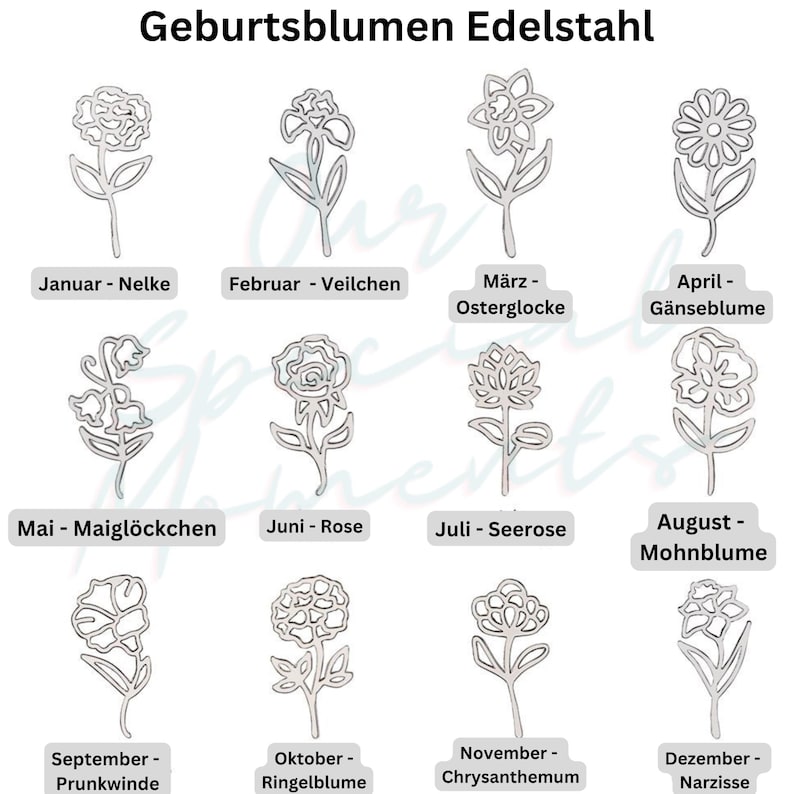 a collection of twelve different flower illustrations, each representing a different month of the year. The flowers are depicted in a simple line drawing style, and the text labels each flower according to its corresponding month.
