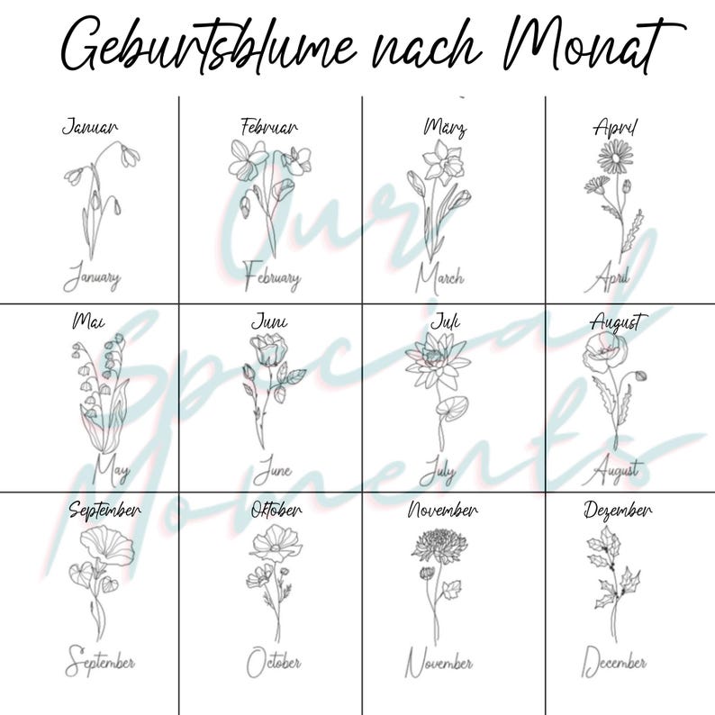 a drawing of flowers with the names of each flower